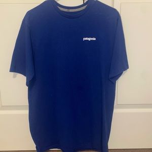 Patagonia Shirt